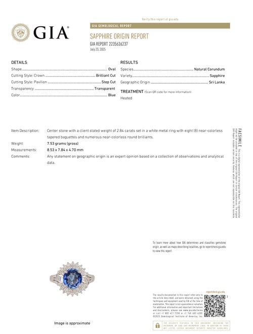 Ring Platinum 2.84ct Sri Lankan Sapphire & Diamond Cocktail Ring