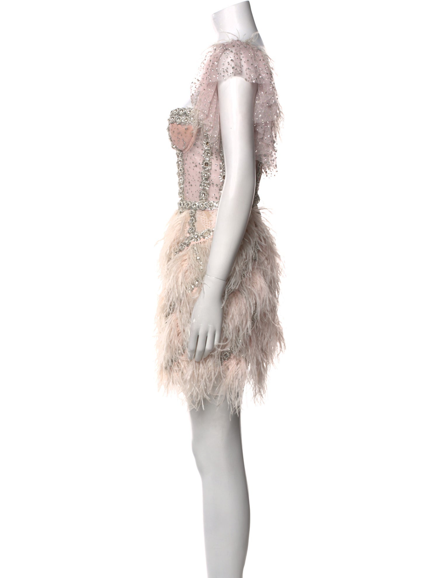 Raisa Vanessa Lace Pattern Mini Dress