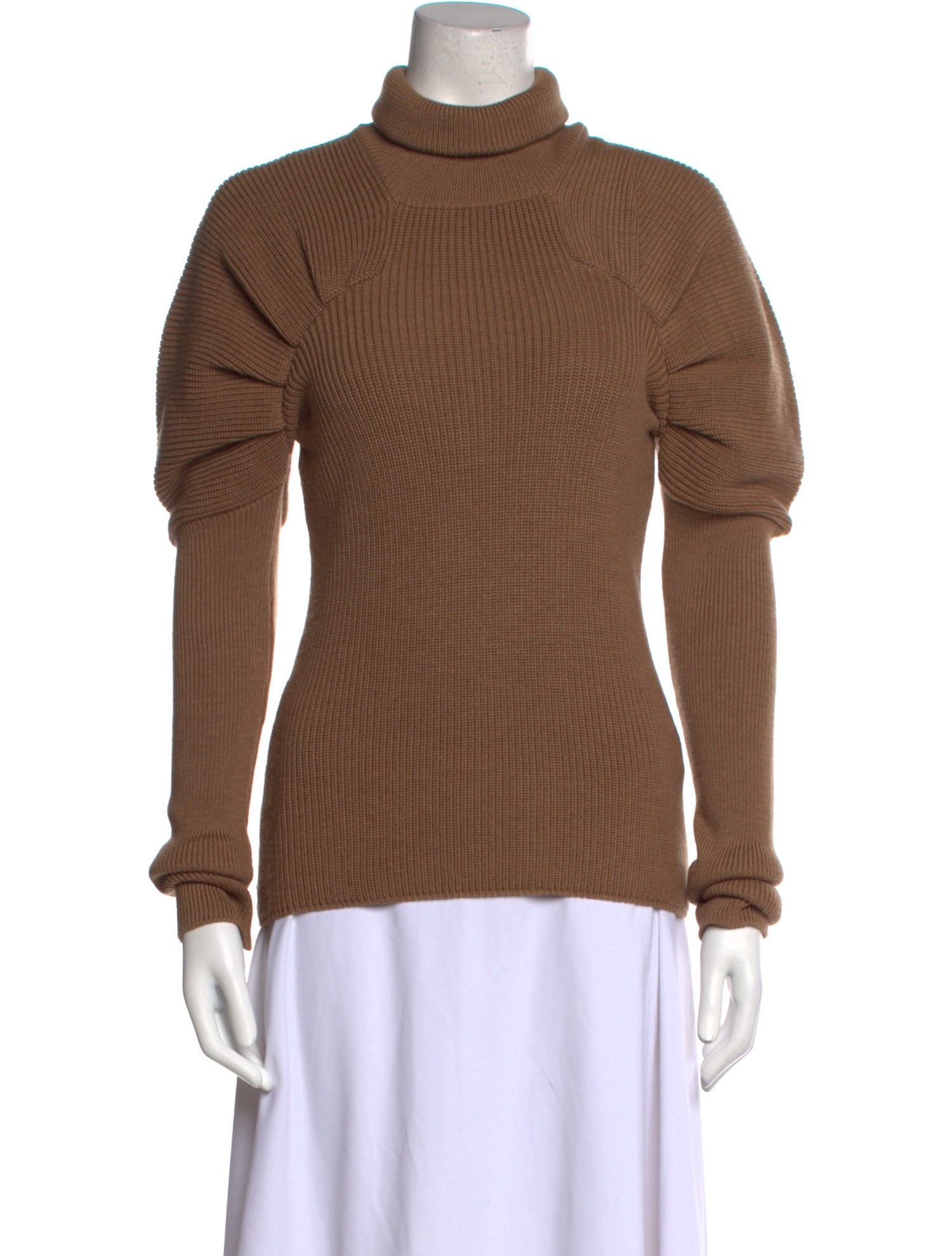 Safiyaa Wool Turtleneck Sweater