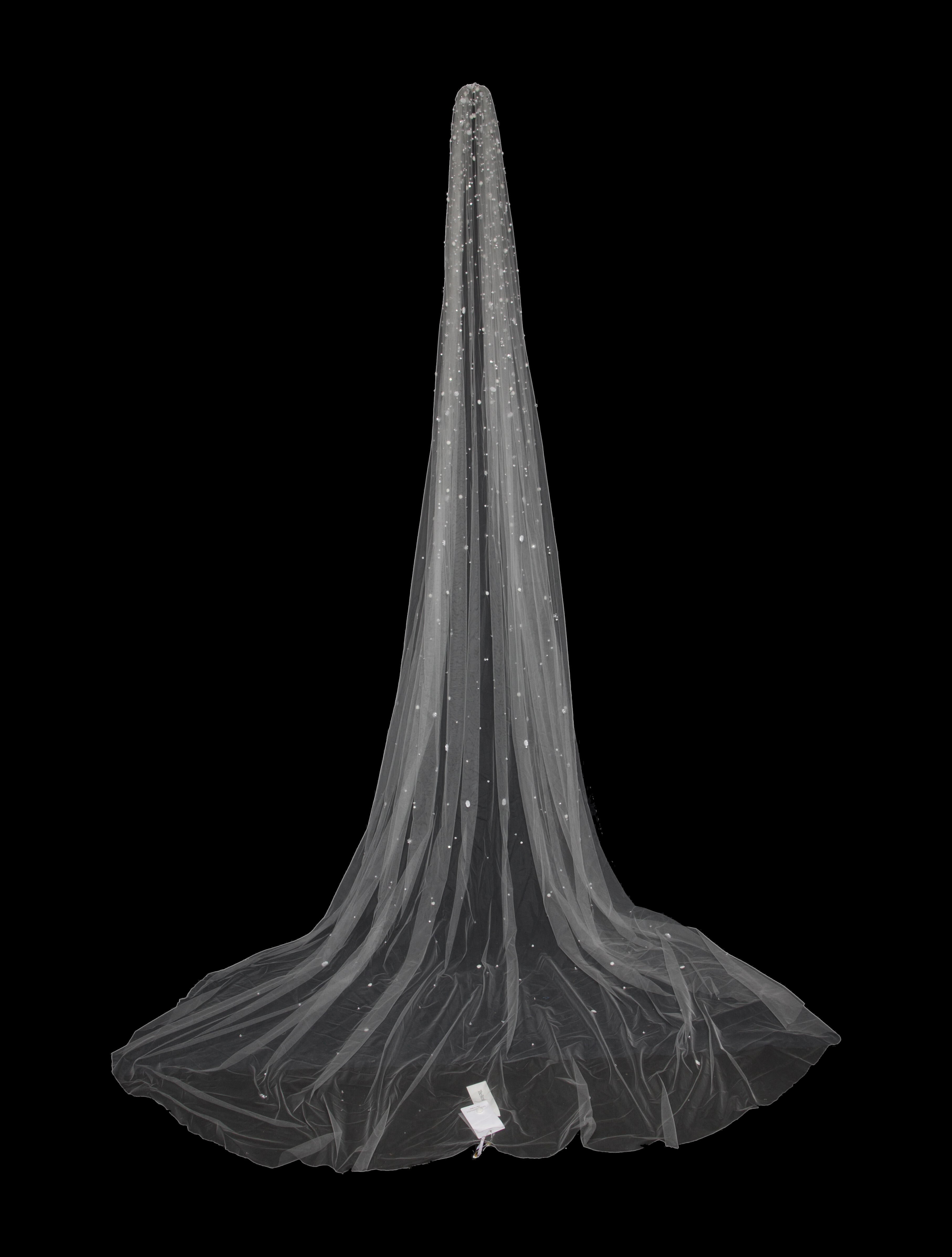 Saiid Kobeisy Tulle Beaded Veil