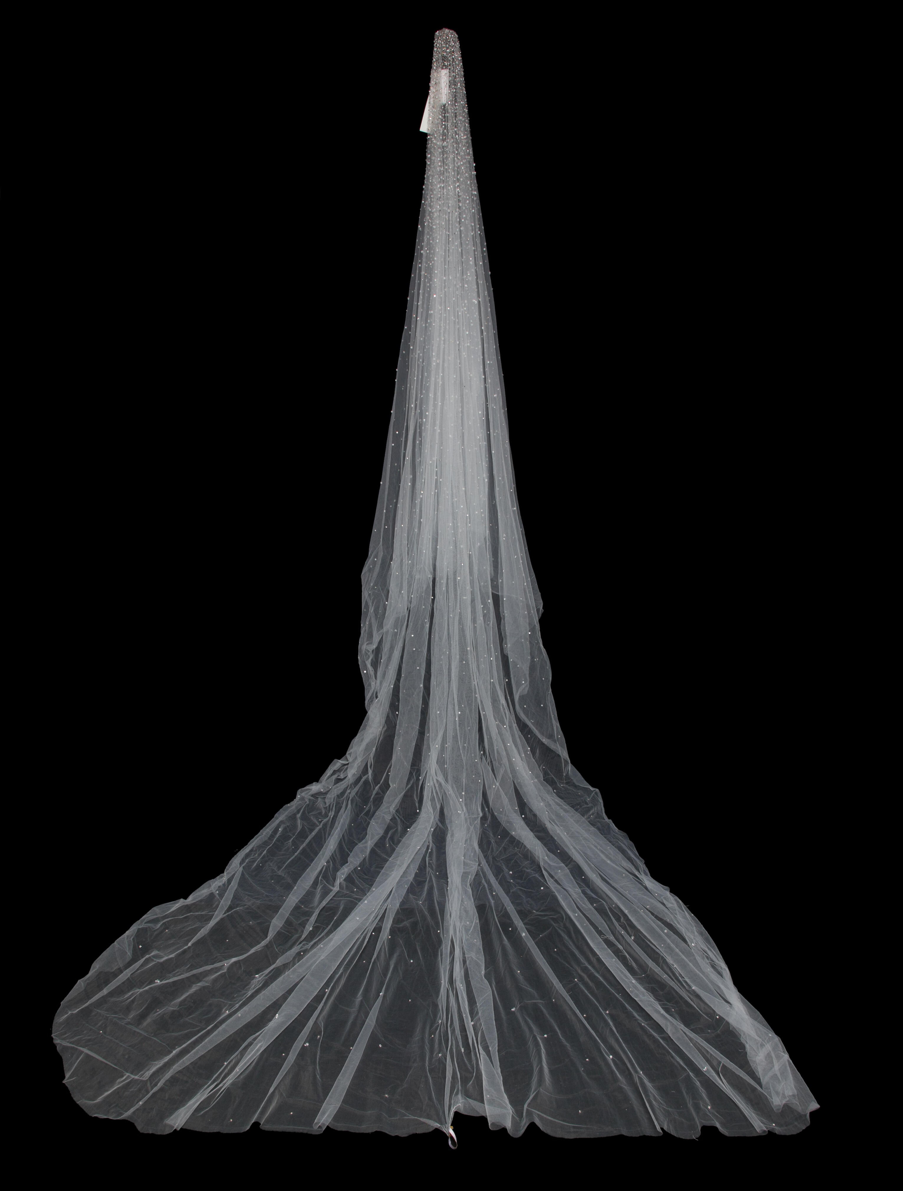 Saiid Kobeisy Tulle Beaded Veil