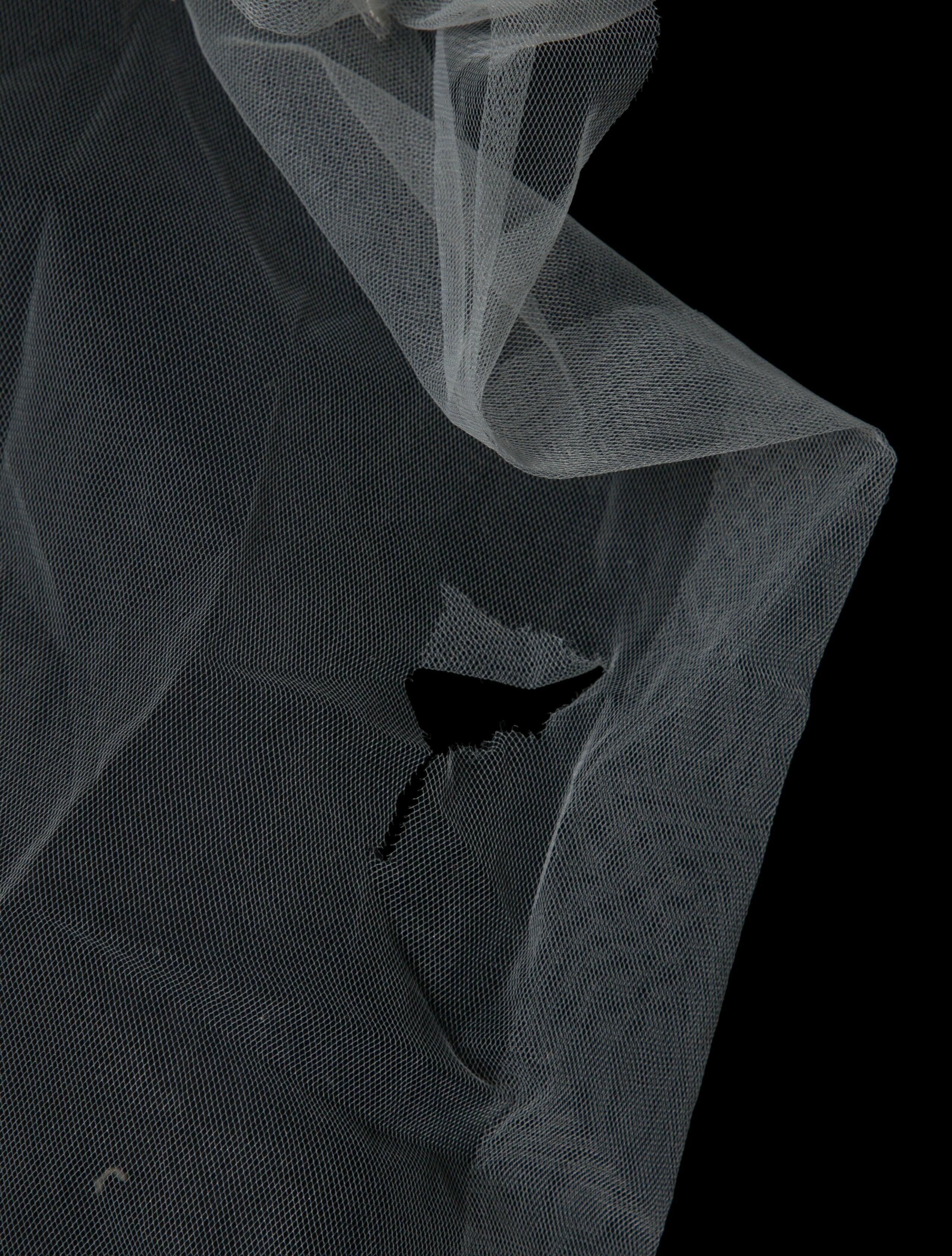 Saiid Kobeisy Tulle Beaded Veil