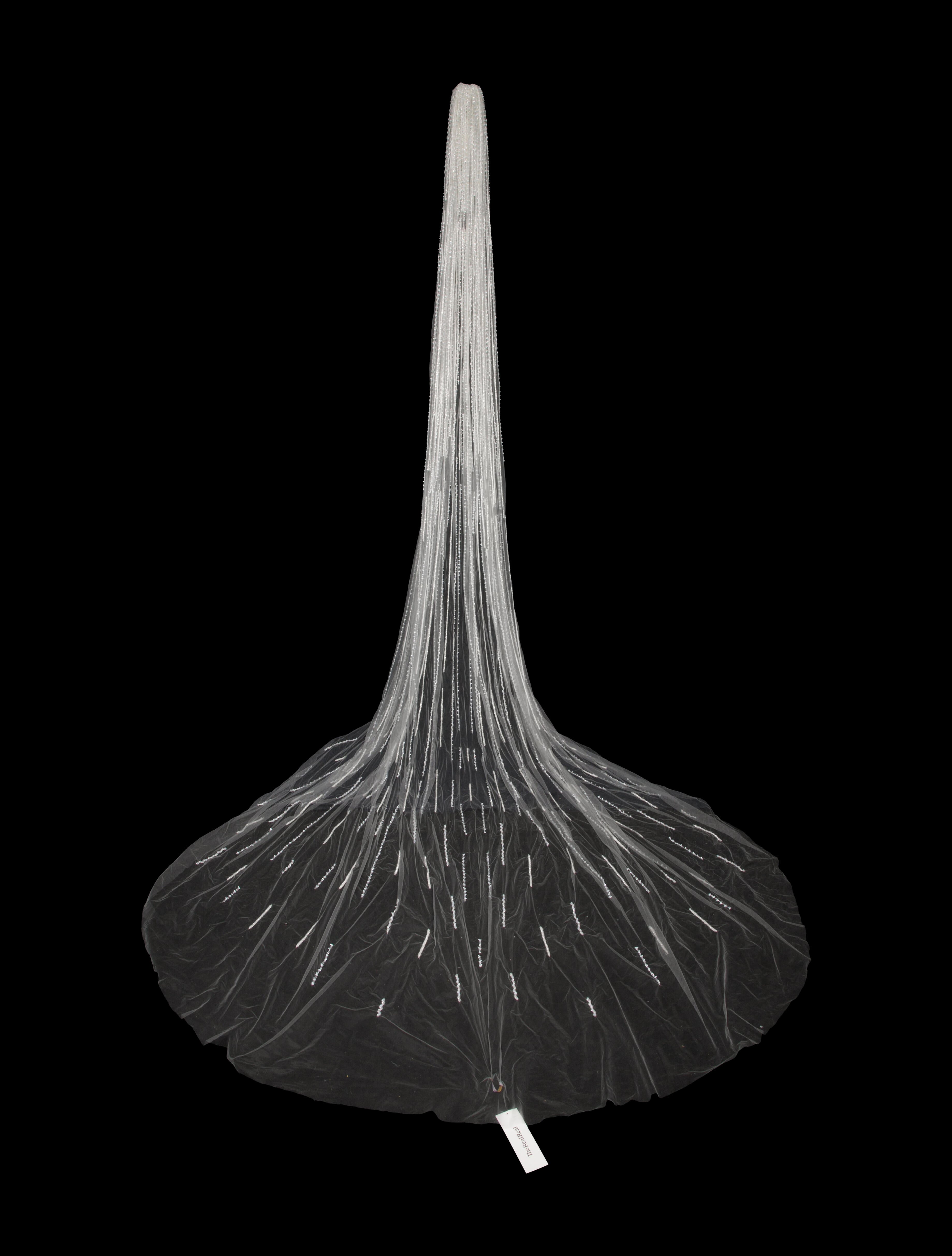 Saiid Kobeisy Beaded Tulle Veil w/ Tags