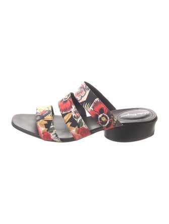 Salvatore Ferragamo Canvas Printed Slides