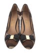 Salvatore Ferragamo Ponyhair Striped Pumps