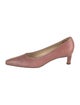 Salvatore Ferragamo Karung Pumps