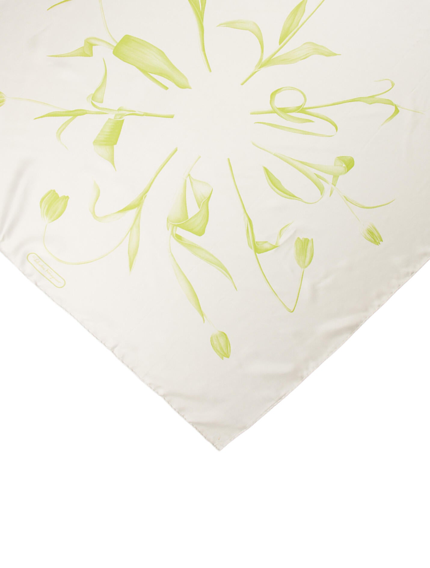 Salvatore Ferragamo Silk Printed Scarf