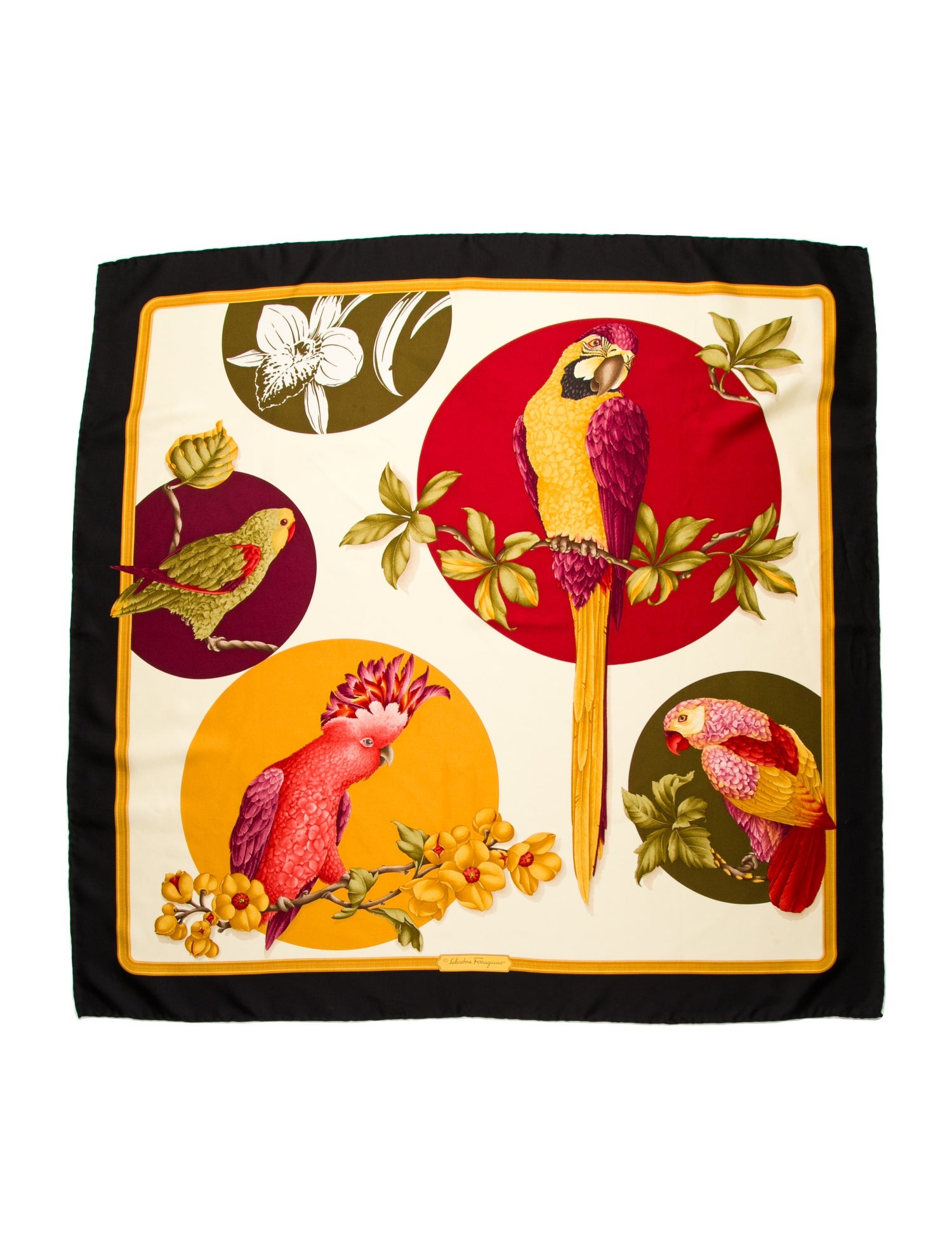 Salvatore Ferragamo Printed Scarf