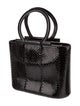 Salvatore Ferragamo Snakeskin Top Handle Bag