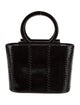 Salvatore Ferragamo Snakeskin Top Handle Bag