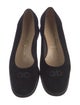 Salvatore Ferragamo Suede Ballet Flats
