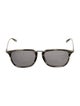 Salvatore Ferragamo Wayfarer Tinted Sunglasses