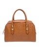 Salvatore Ferragamo Ostrich Top Handle Bag