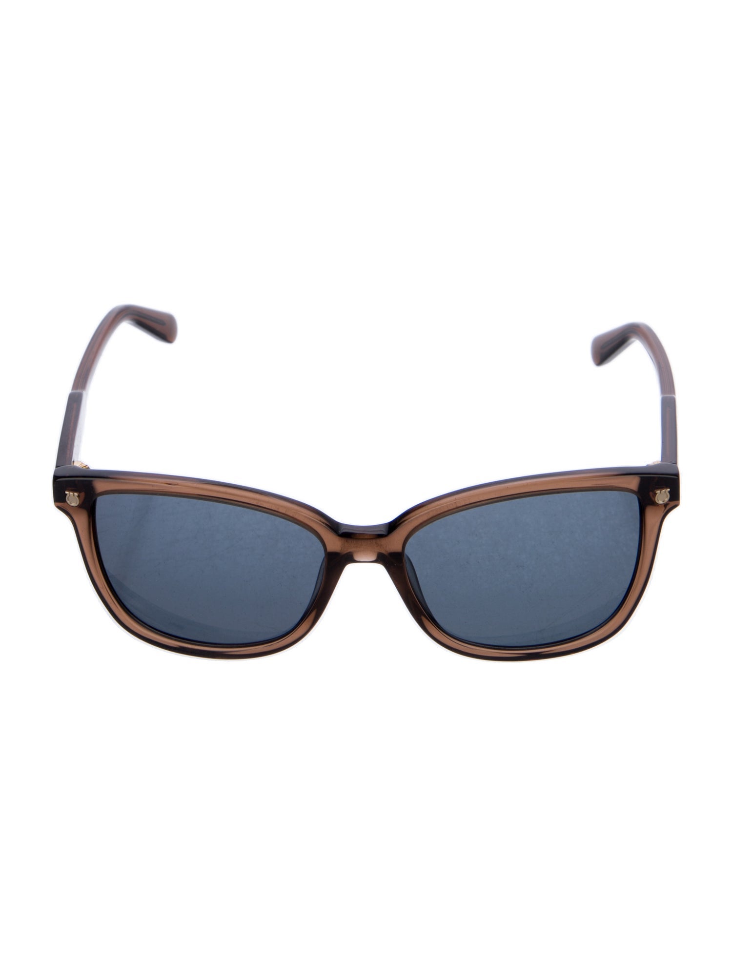Salvatore Ferragamo Wayfarer Tinted Sunglasses