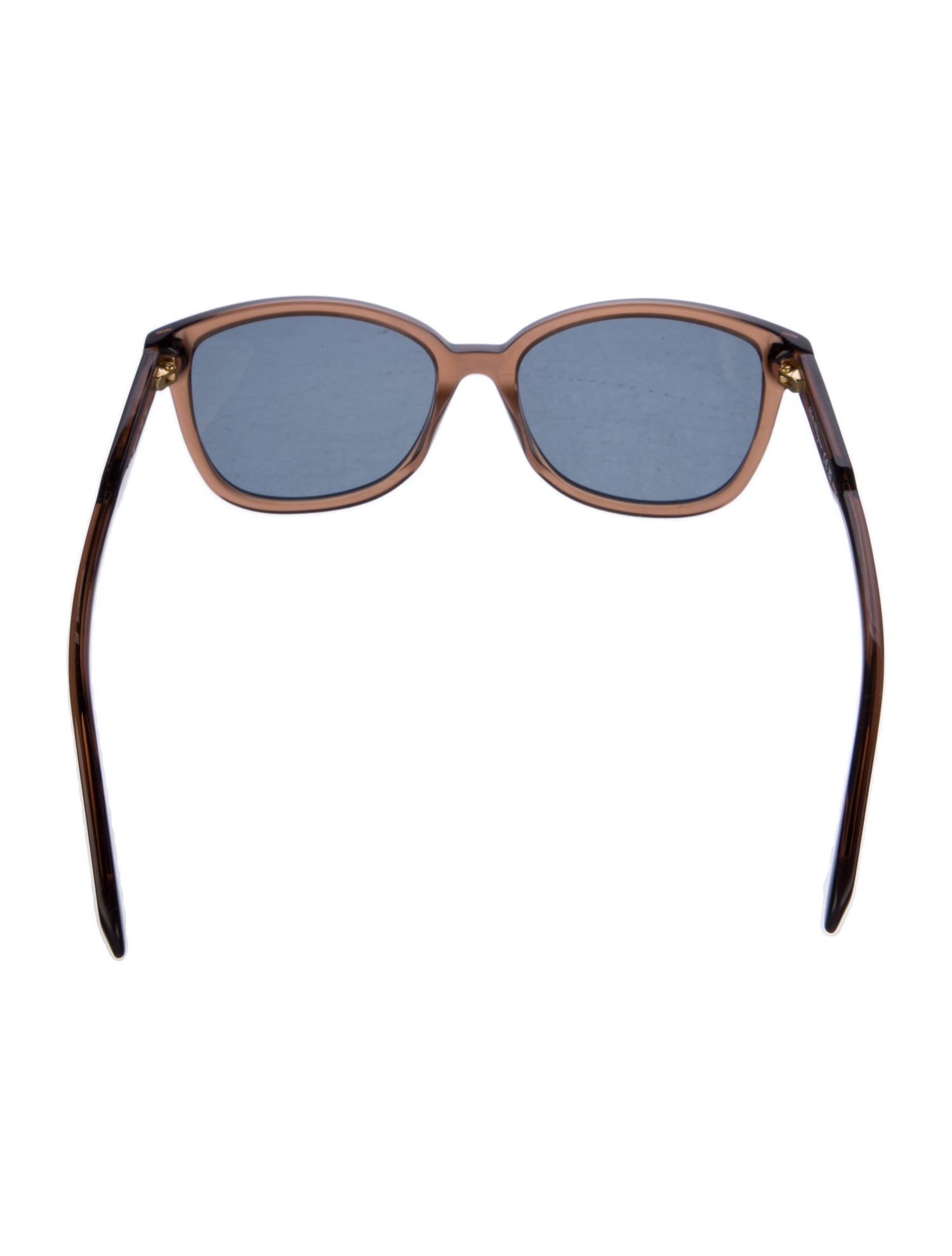Salvatore Ferragamo Wayfarer Tinted Sunglasses