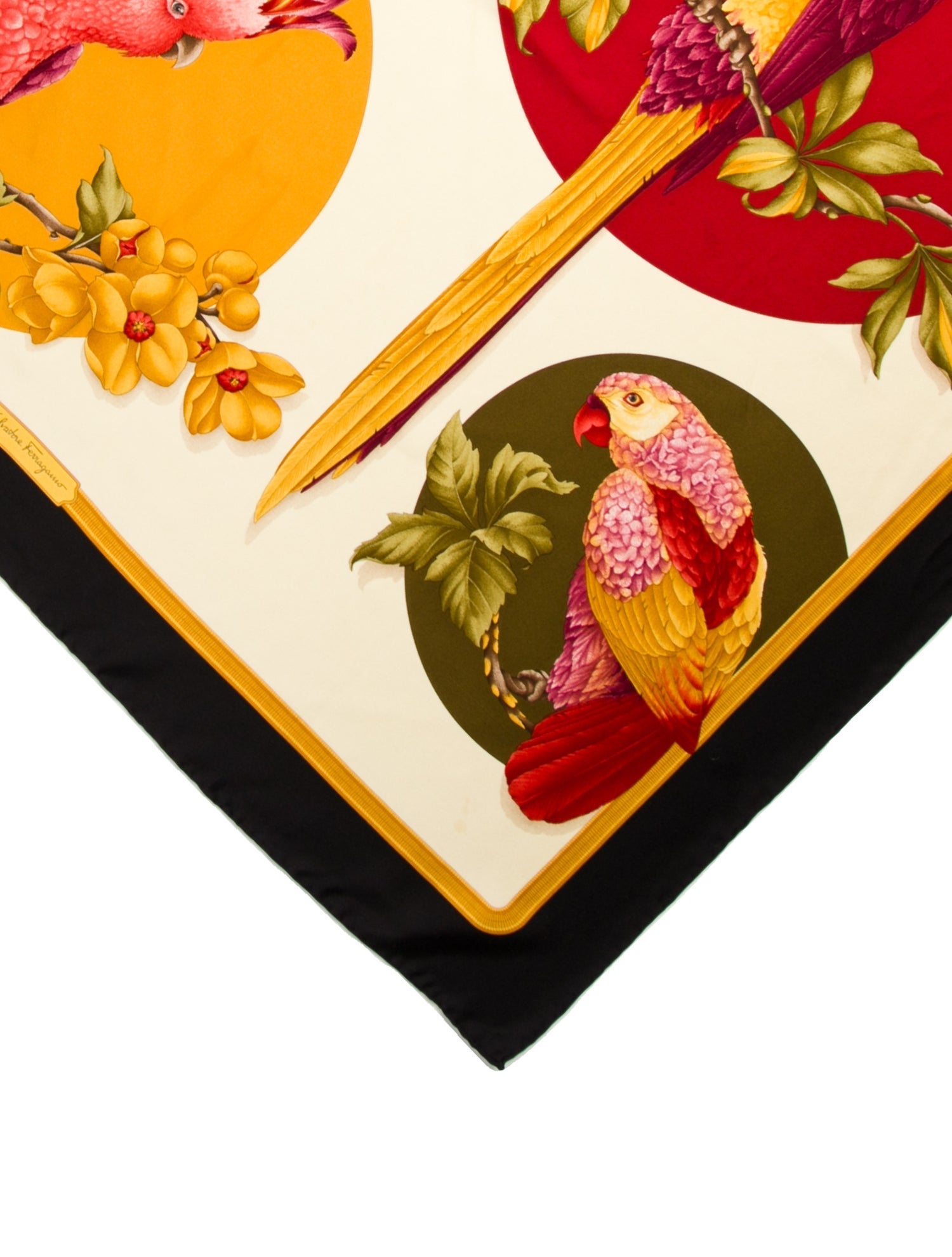 Salvatore Ferragamo Printed Scarf