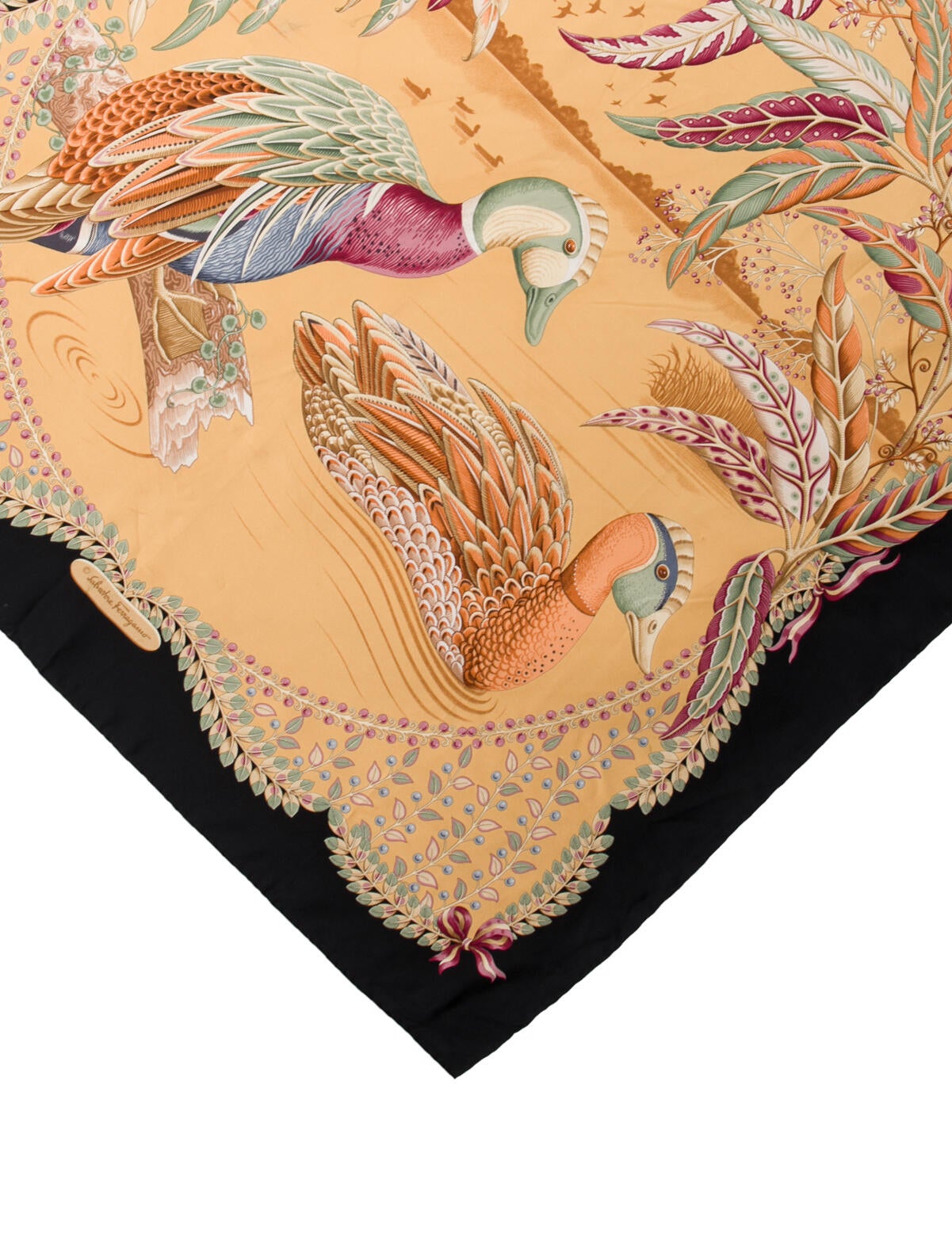 Salvatore Ferragamo Printed Scarf