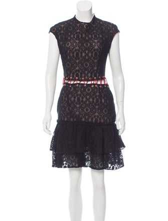 Sandra Mansour Fall 2016 Lace Knee-Length Dress