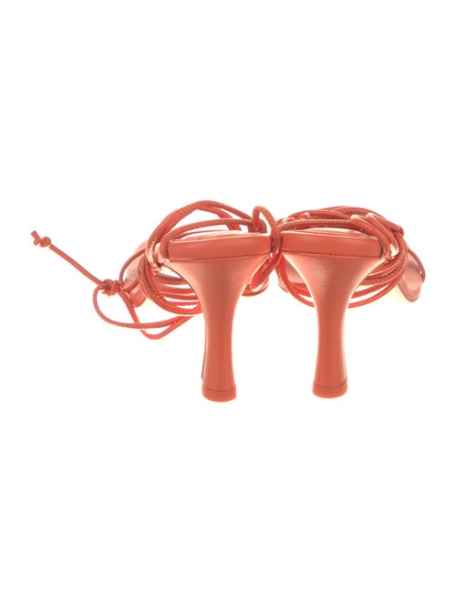 Scanlan Theodore Leather Sandals