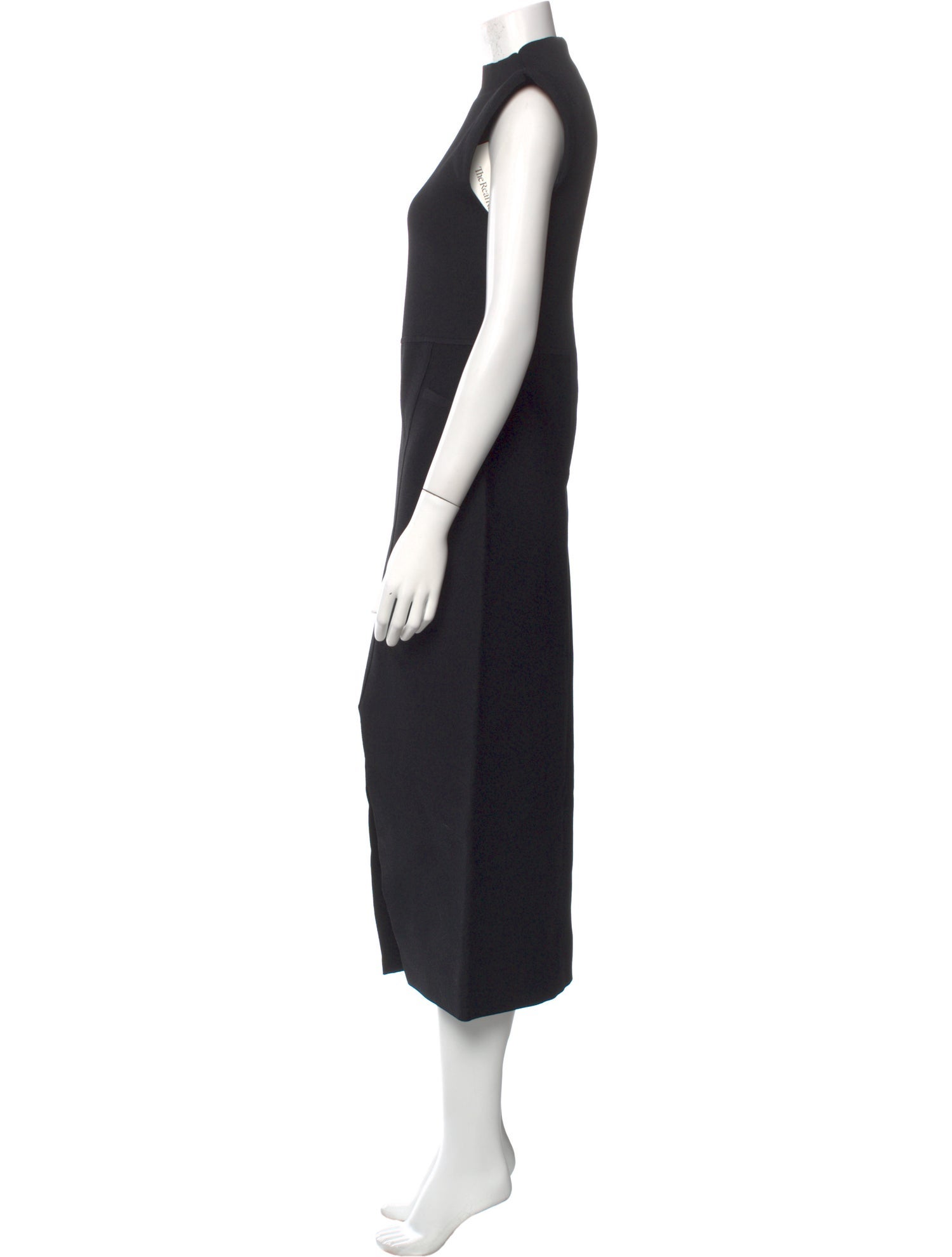 Scanlan Theodore Turtleneck Long Dress