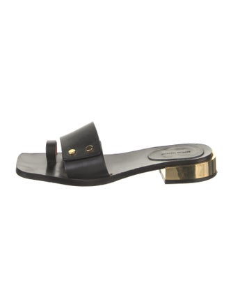 Scanlan Theodore Leather Slides