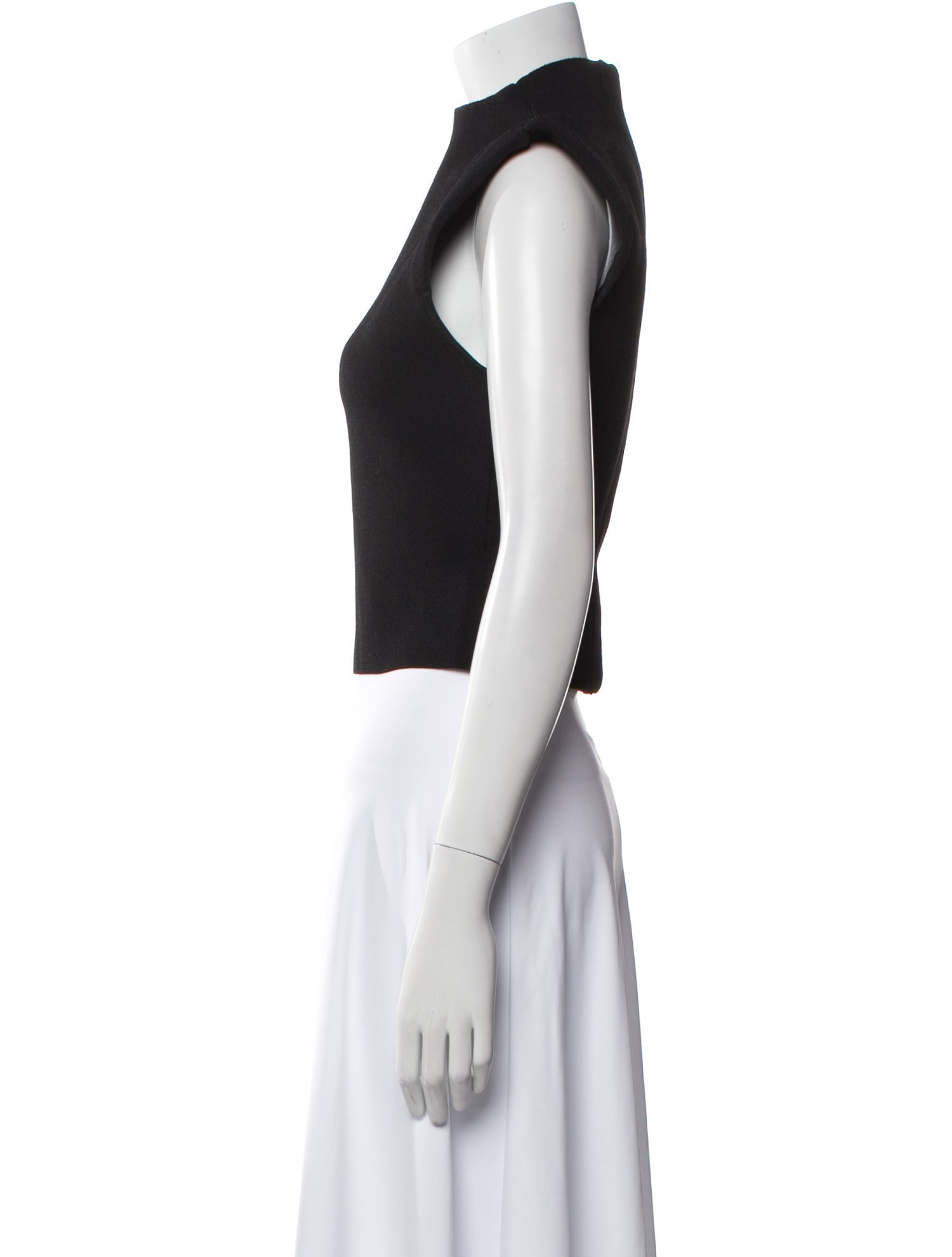 Scanlan Theodore Mock Neck Sleeveless Crop Top