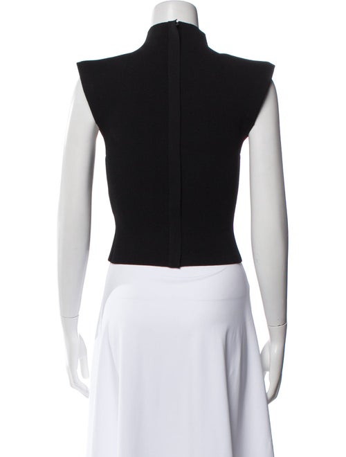 Scanlan Theodore Mock Neck Short Sleeve Crop Top