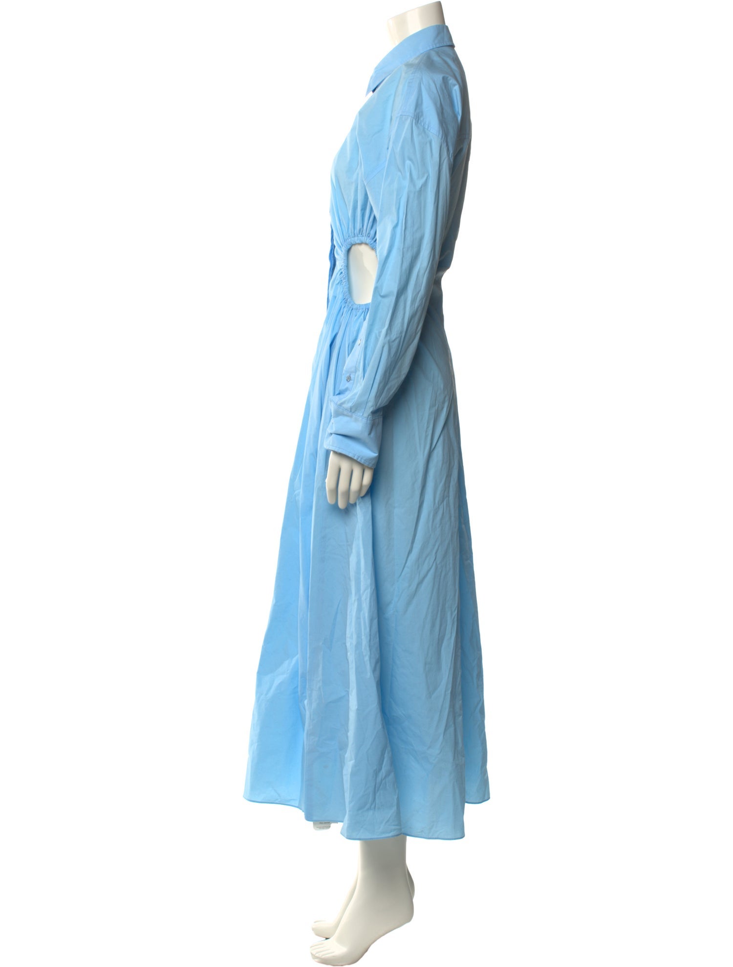 Scanlan Theodore Long Dress