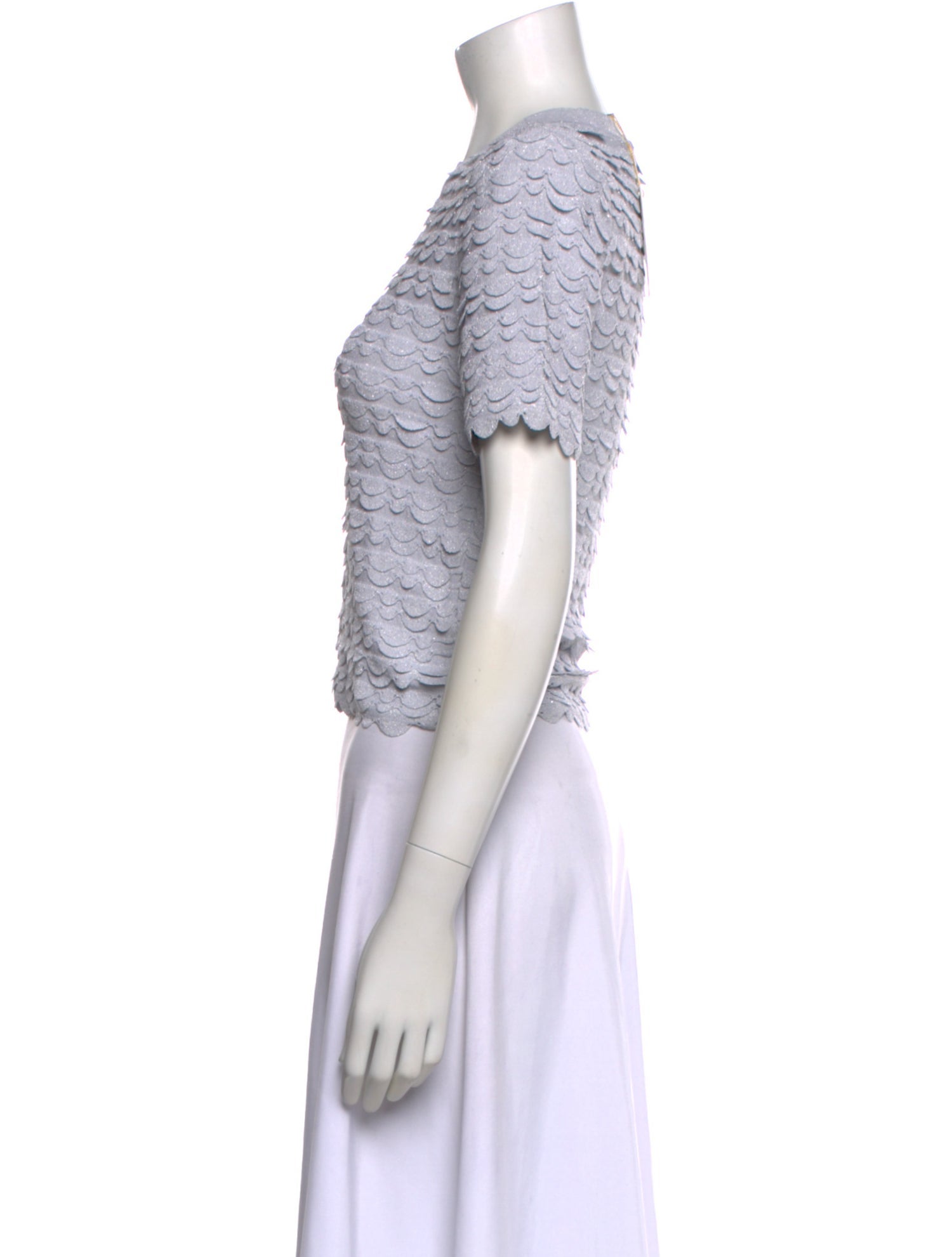 Scanlan Theodore Crew Neck Short Sleeve Crop Top w/ Tags