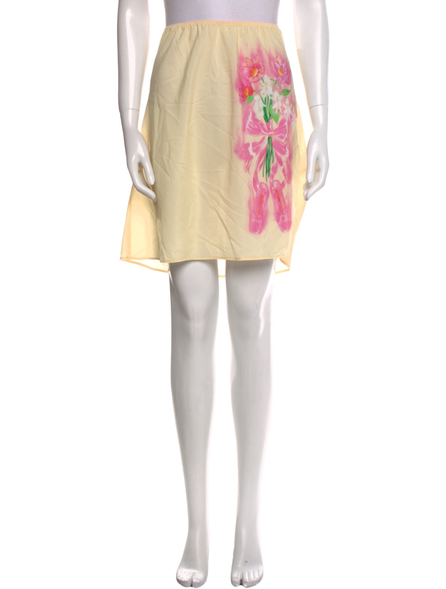 Sandy Liang Graphic Print Mini Skirt