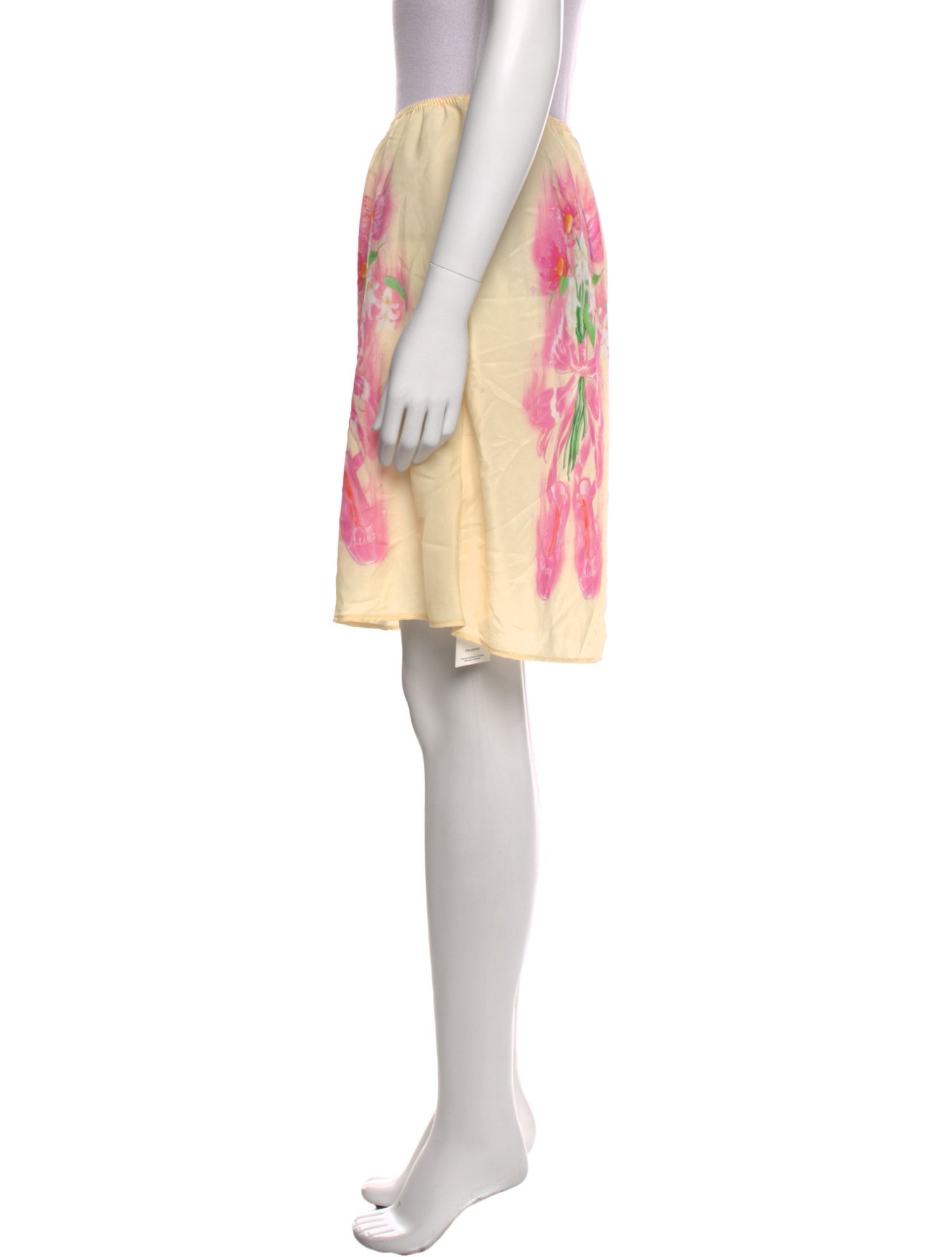 Sandy Liang Graphic Print Mini Skirt