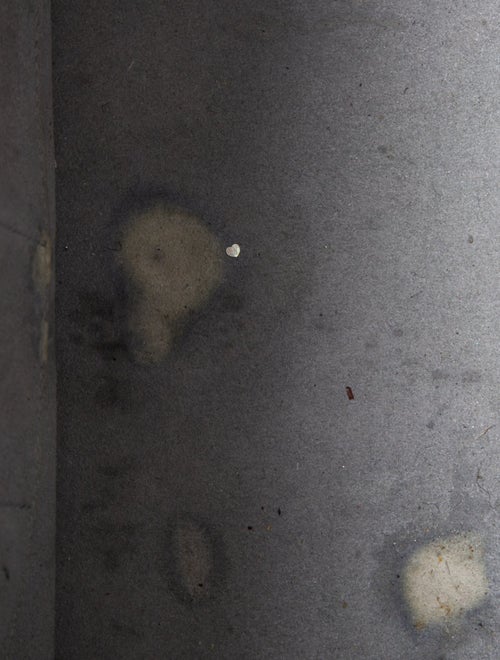 Senreve Leather Backpack