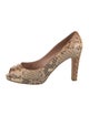 Sergio Rossi Python Animal Print Pumps