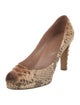 Sergio Rossi Python Animal Print Pumps