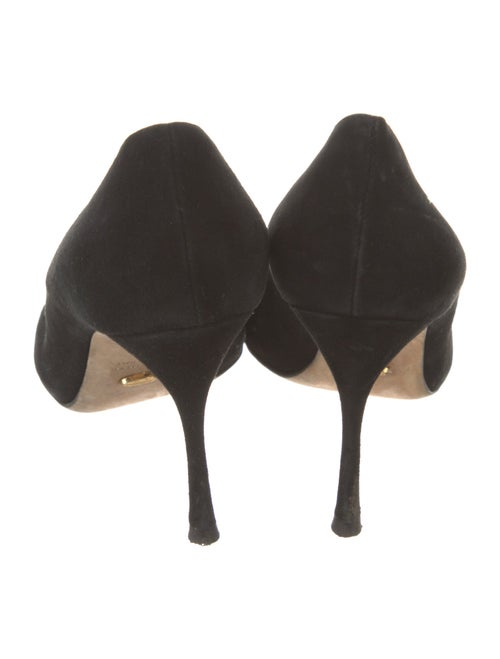 Sergio Rossi Suede Pumps