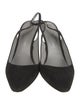 Sergio Rossi Suede Slingback Pumps