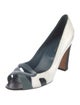 Sergio Rossi Leather Colorblock Pattern Pumps