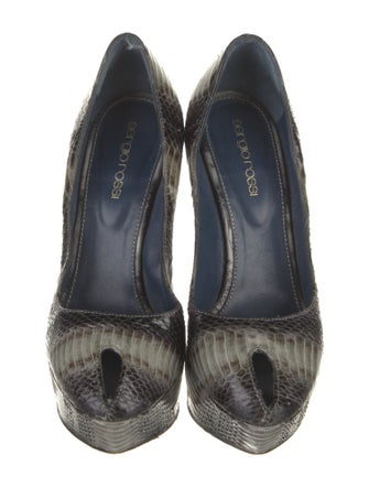 Sergio Rossi Python Animal Print Pumps