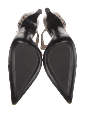 Sergio Rossi Python Animal Print Slingback Pumps