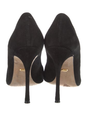 Sergio Rossi Suede Pumps