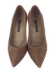 Sergio Rossi Ponyhair Striped Pumps