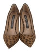 Sergio Rossi Ponyhair Animal Print Pumps