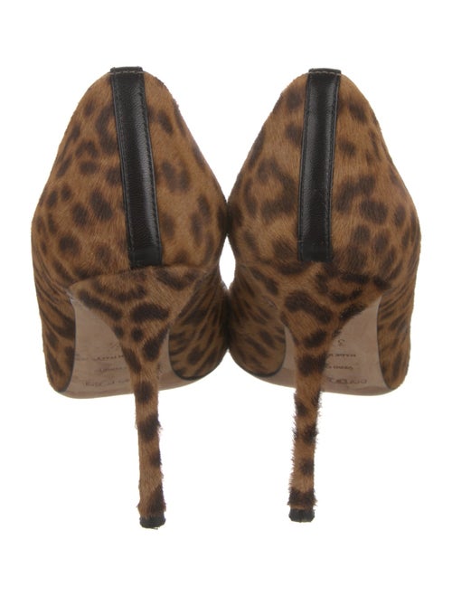 Sergio Rossi Ponyhair Animal Print Pumps