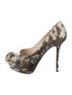 Sergio Rossi Leather Animal Print Pumps