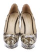 Sergio Rossi Leather Animal Print Pumps