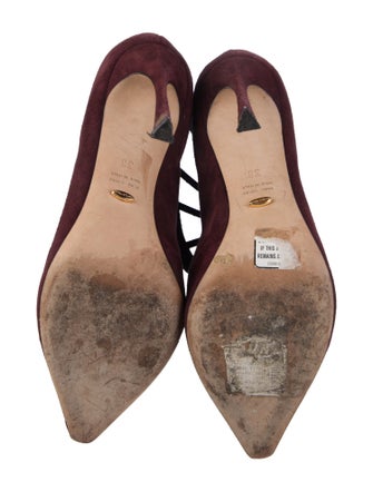 Sergio Rossi Suede Pumps