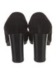 Sergio Rossi Suede Pumps