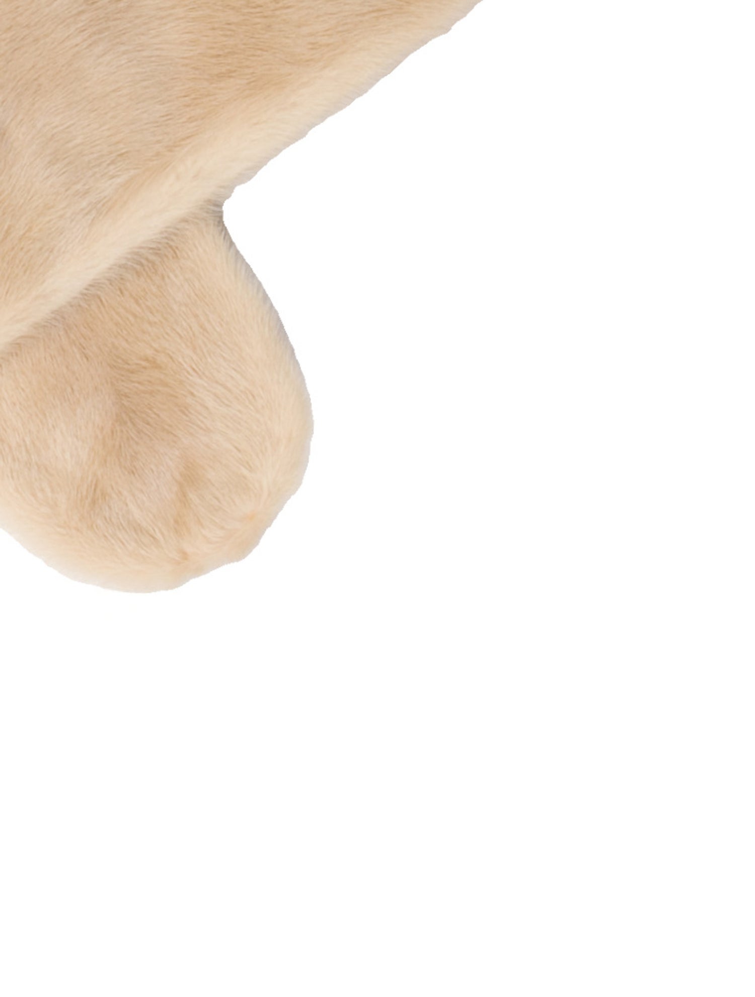 Saga Furs Mink Scarf