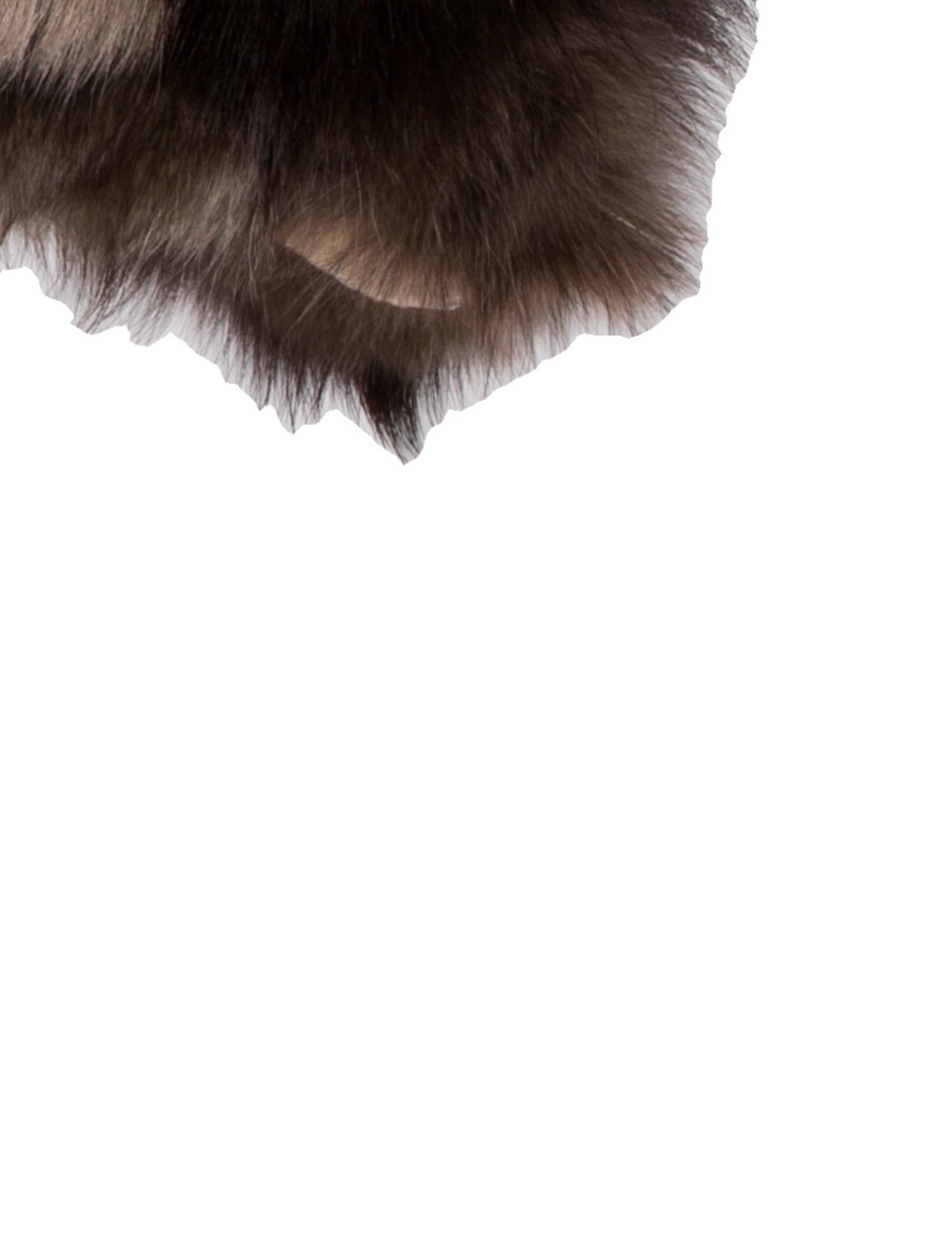 Saga Furs Fur Stole