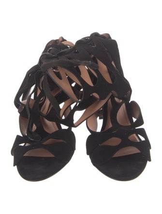 Samuele Failli Suede Gladiator Sandals
